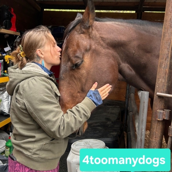 Funky & Fun Share Show Train 8am-11pm No Lux - Picture 5 of 14